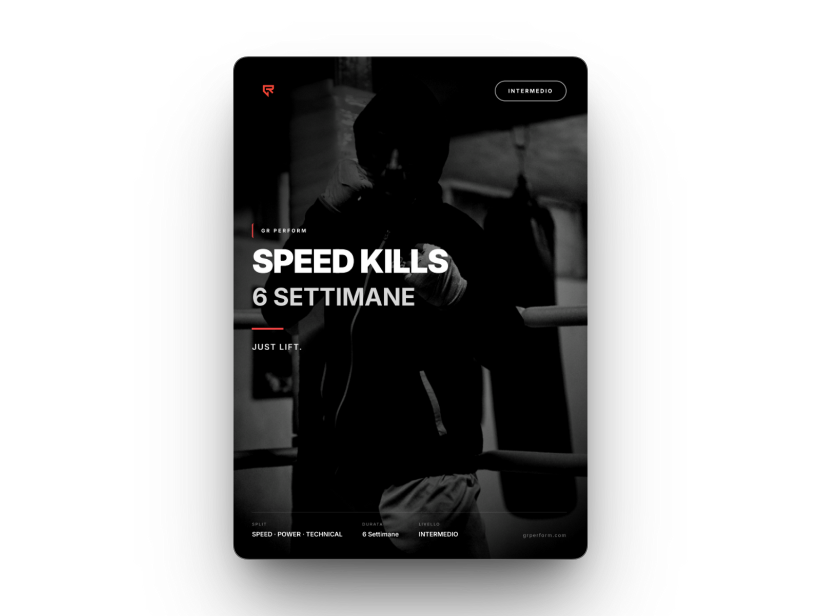 SPEED BOXE KILLS
