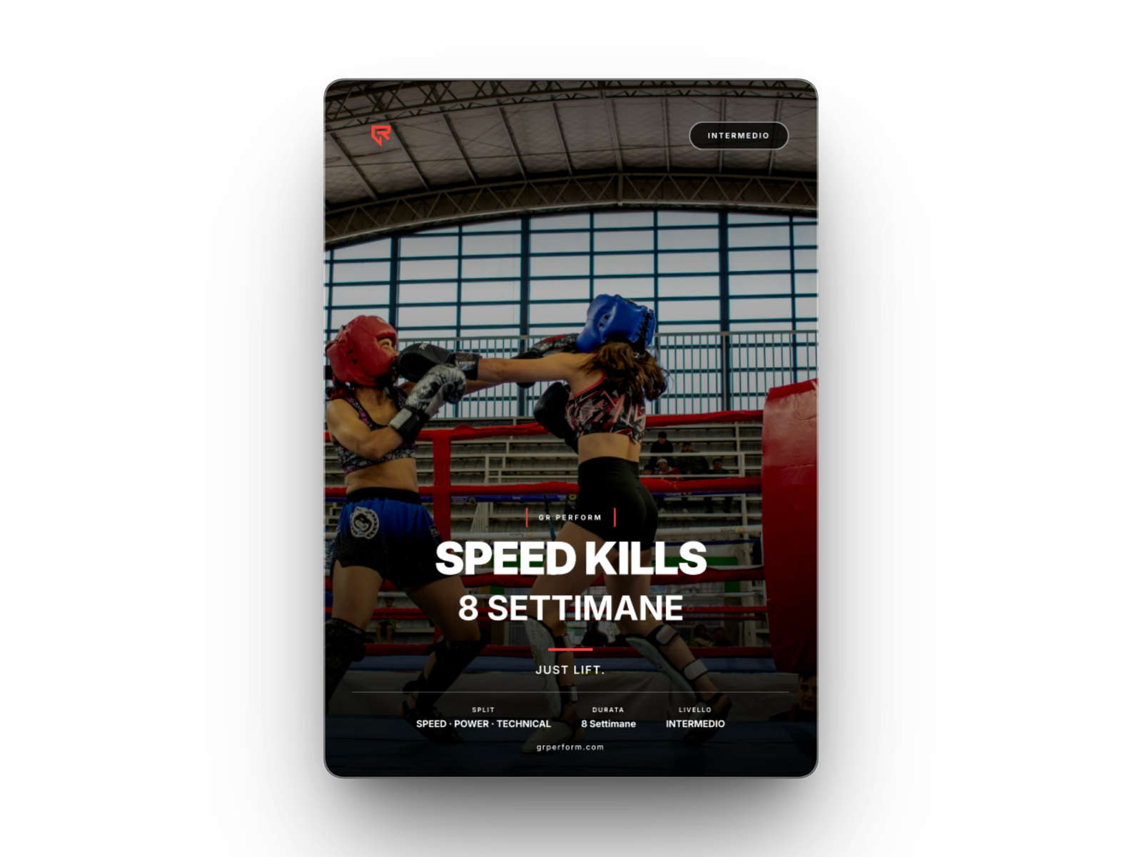 SPEED BOXE KILLS