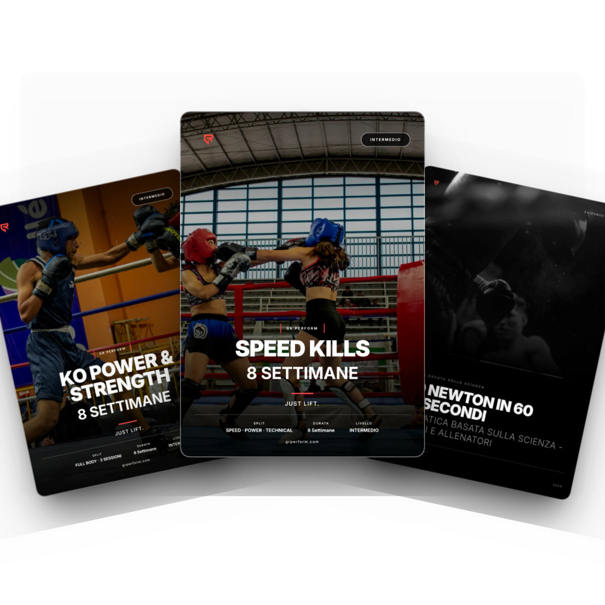 Bundle Boxe