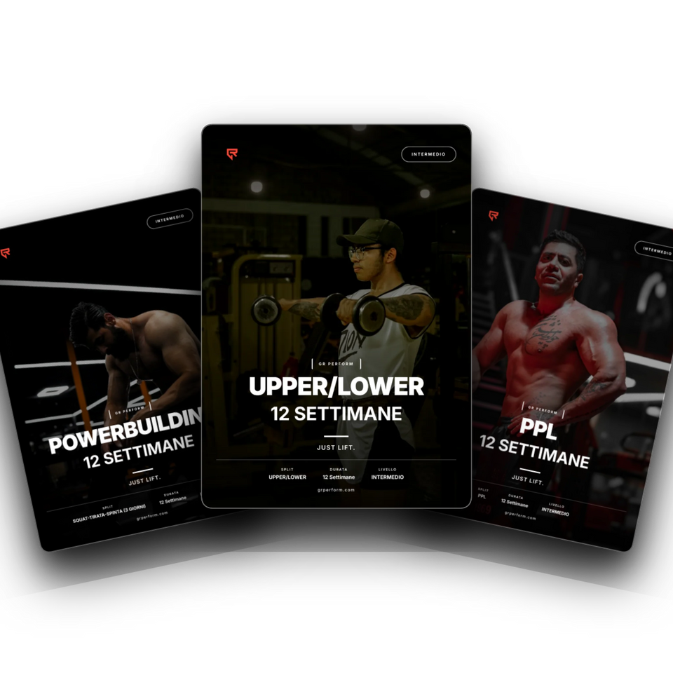 Bundle Palestra Principiante